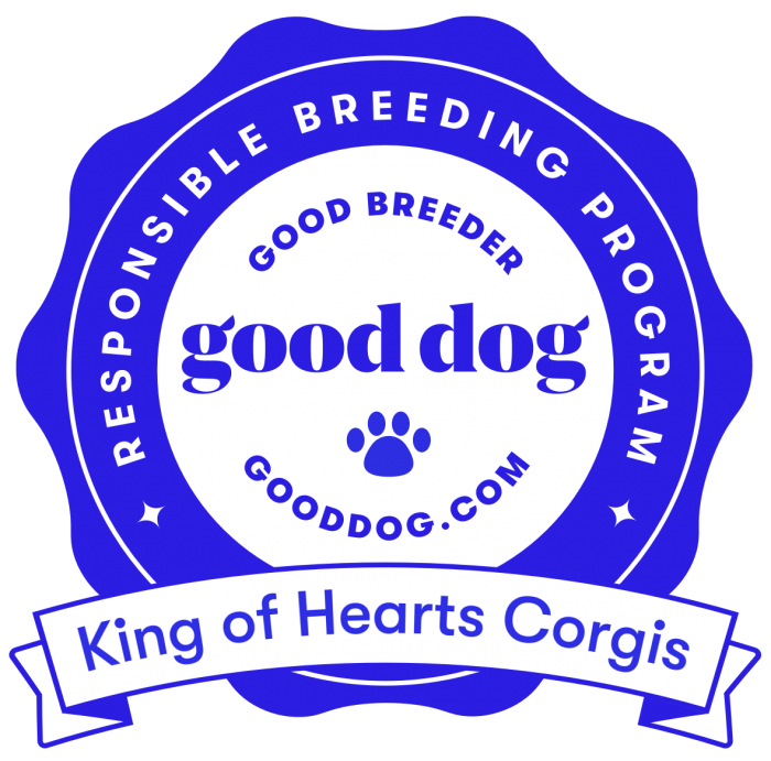 Gooddog corgi breeder